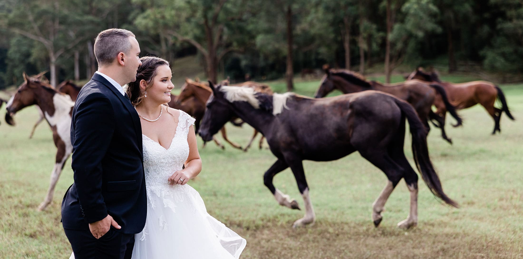 farm wedding with horses