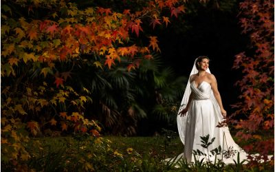 How to choose a wedding gown on the Central Coast
